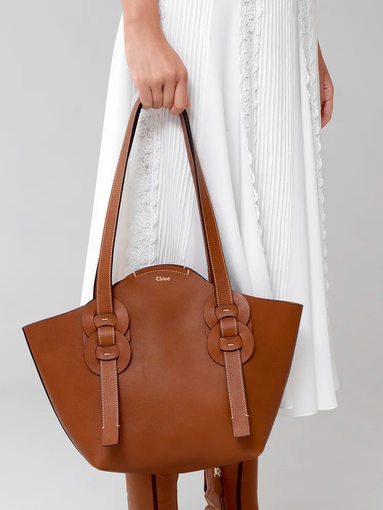 Chloe Small Darryl Tote Bag