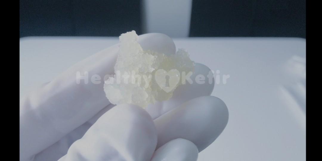Authentic Healthy Water Kefir Grains Dehydrated (Category: Health Food, Drinks & Tonics) located in Los Banos. Submitted by kefirshop (Listing ID 1028006510, Image 2). Description: TO ORDER just go to : www.healthykefir.shop cod/non cod Be strong everyday by drinking this awesome probiotic drinks, it heals and protect, boost your immune system. we deliver nationwide and international..