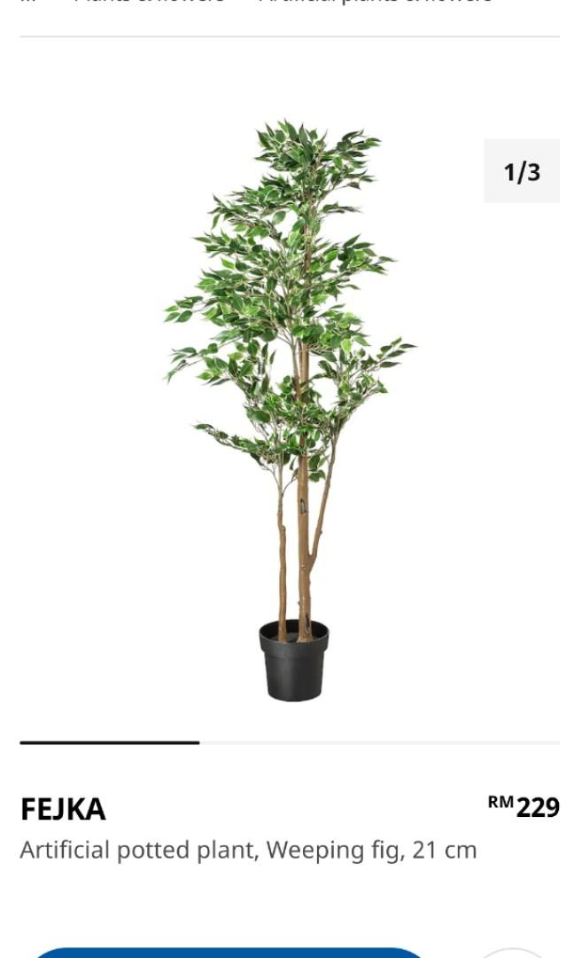 Ikea Fake Plant Fejka, Home u0026 Furniture, Gardening on Carousell