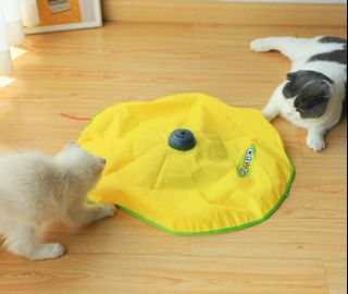 (Category: ) located in . Submitted by cat_char (Listing ID 1104986214, Image 1). Description: .