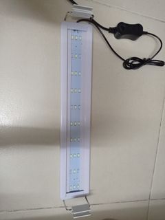 （分類：）位於 。 由 darling0120 提交（商品編號 1105236885，圖片 1）。簡介： 。