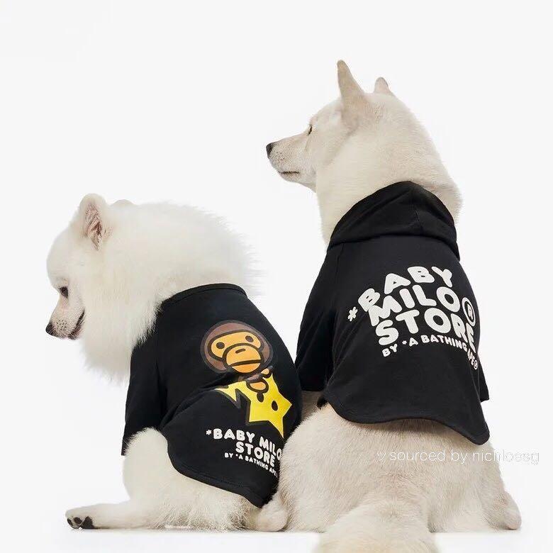 bape dog clothes