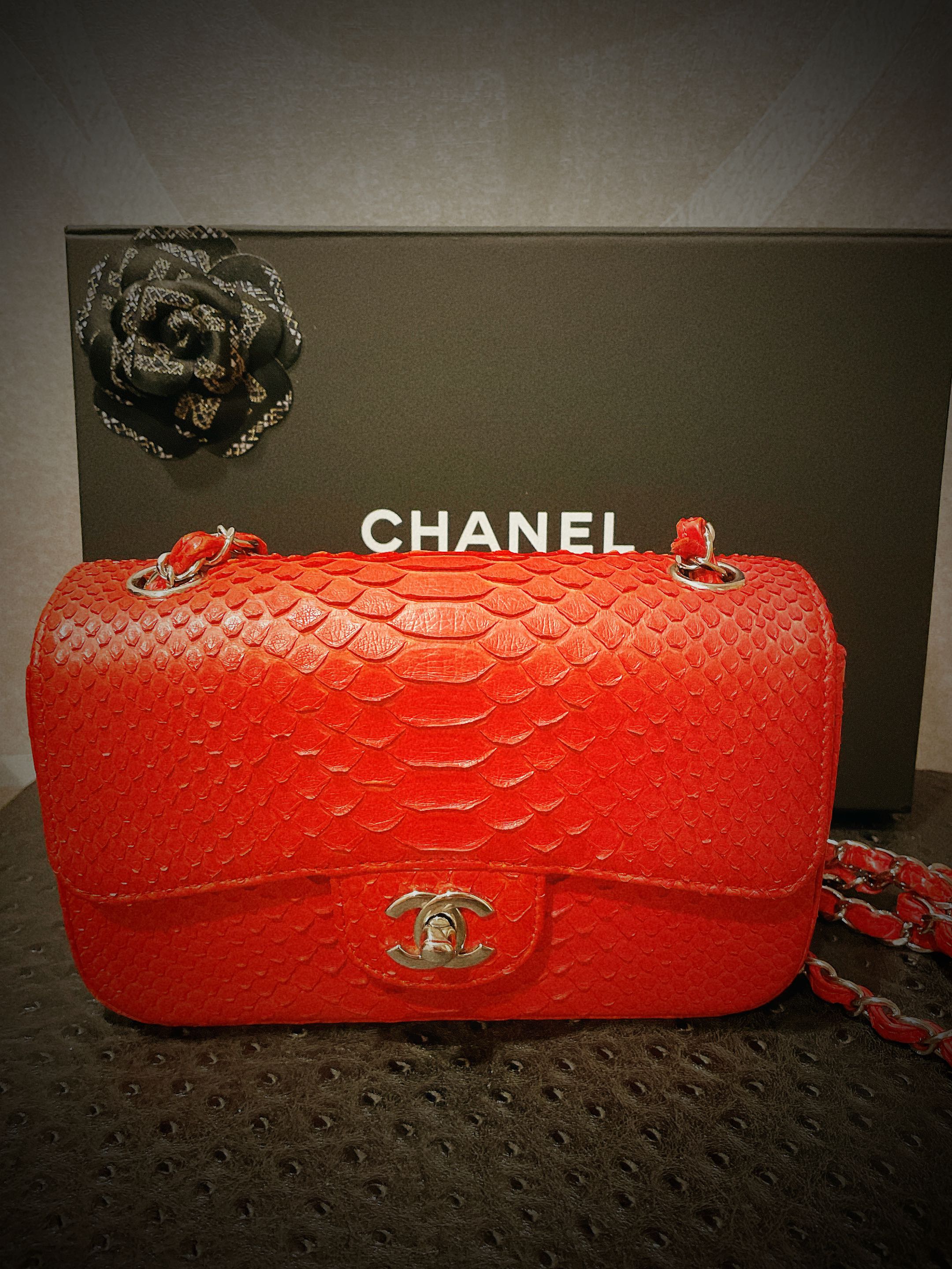 Chanel Classic flap red python