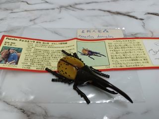 （分類：）位於 。 由 leechunghappy 提交（商品編號 1105211544，圖片 1）。簡介： 。
