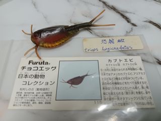 （分類：）位於 。 由 leechunghappy 提交（商品編號 1105212624，圖片 1）。簡介： 。