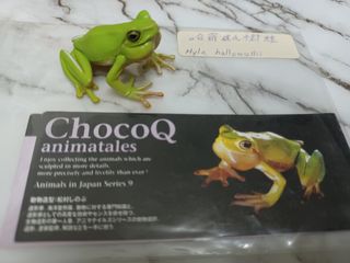 （分類：）位於 。 由 leechunghappy 提交（商品編號 1105218375，圖片 1）。簡介： 。