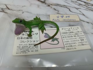 （分類：）位於 。 由 leechunghappy 提交（商品編號 1105221883，圖片 1）。簡介： 。