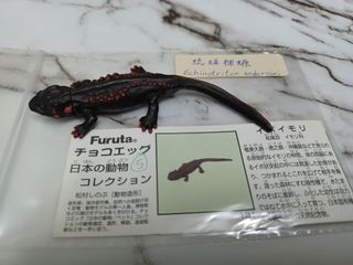 （分類：）位於 。 由 leechunghappy 提交（商品編號 1105222036，圖片 1）。簡介： 。