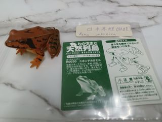 （分類：）位於 。 由 leechunghappy 提交（商品編號 1105275625，圖片 1）。簡介： 。