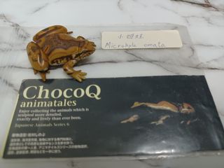 （分類：）位於 。 由 leechunghappy 提交（商品編號 1105276202，圖片 1）。簡介： 。