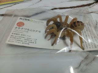 （分類：）位於 。 由 leechunghappy 提交（商品編號 1105305483，圖片 1）。簡介： 。