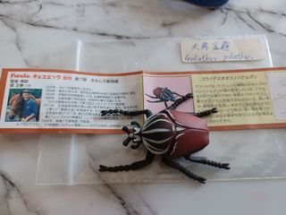 （分類：）位於 。 由 leechunghappy 提交（商品編號 1105128982，圖片 1）。簡介： 。