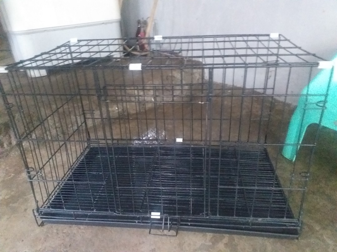 collapsible dog cage XL, Pet Supplies, Homes & Other Pet Accessories on