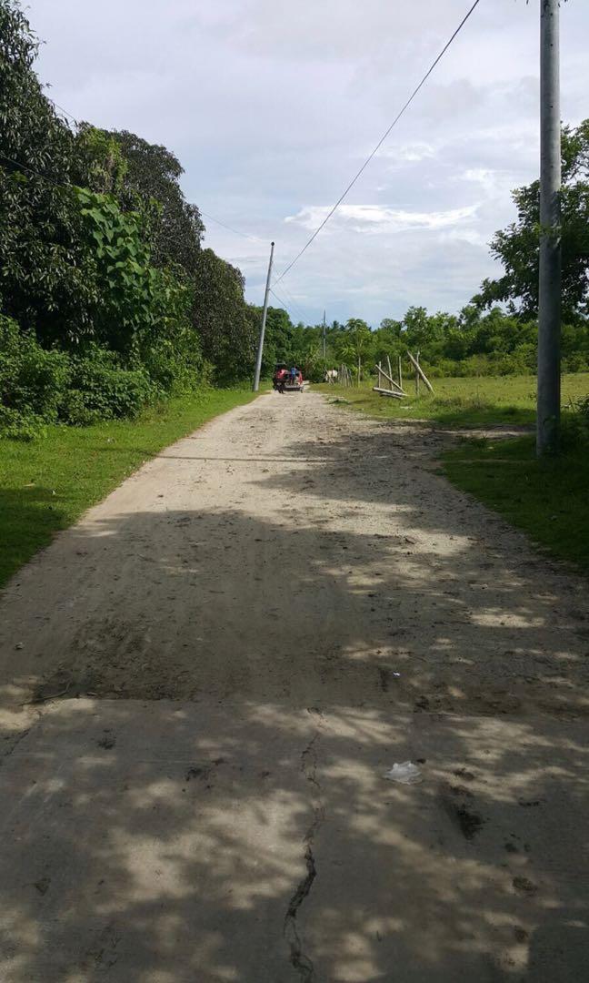 Farm Lot For Sale (Category: Lot) located in Manila. Submitted by danru0721 (Listing ID 1105242391, Image 2). Description: Rush Farm Lot for sale located at Barangay Bulsa, San Juan, Batangas. Good for investment and retirement. The farm has plenty of fruit trees such as mangoes, coconuts, bananas, bamboos & some mahogany which make the farm cold & shady. With quiet & helpful neighborhood. Fixed price please not negotiable..