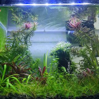 (Category: ) located in . Submitted by sunny21572002 (Listing ID 1105242309, Image 1). Description: .