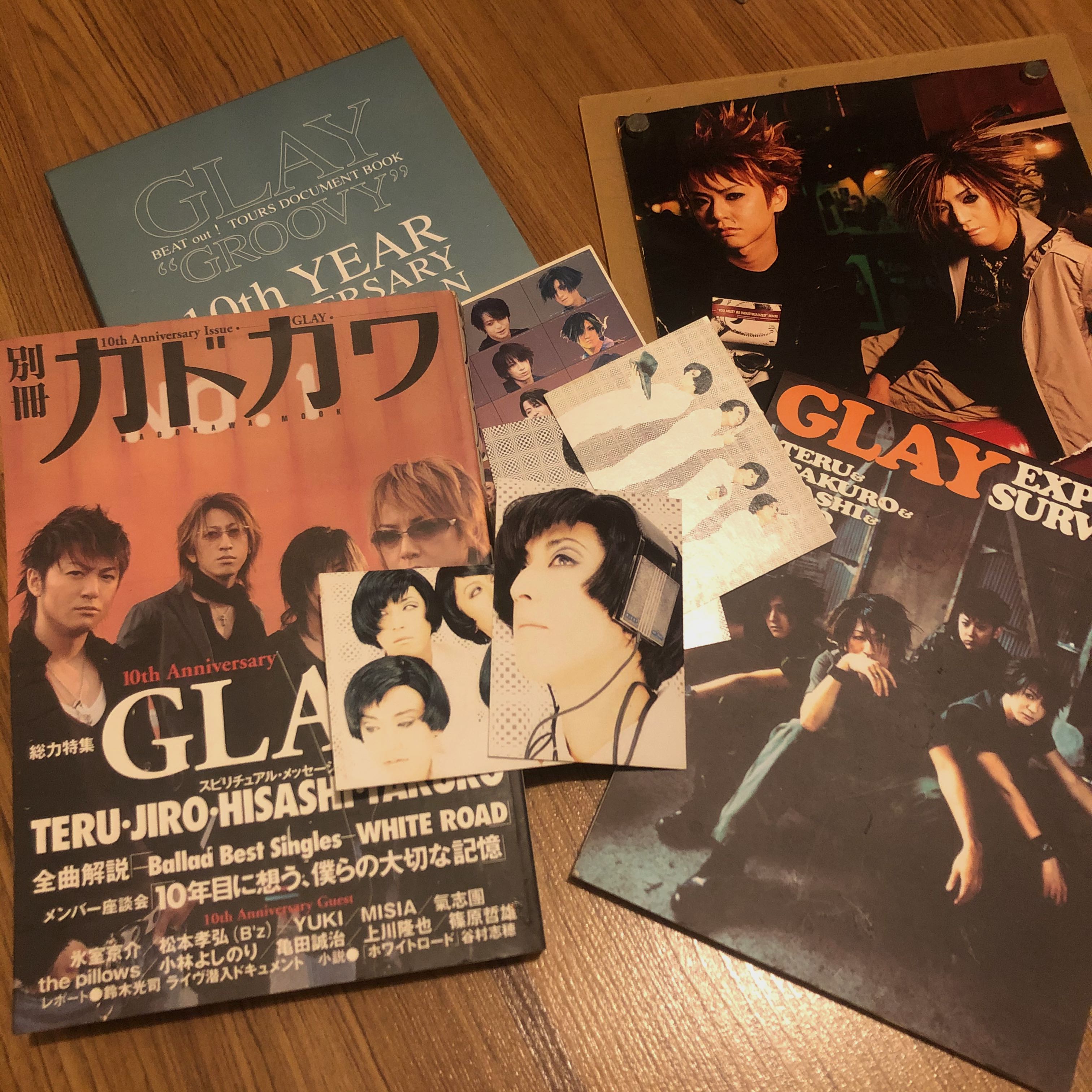 GLAY/10th Anniversary Year Final GLAY D…-