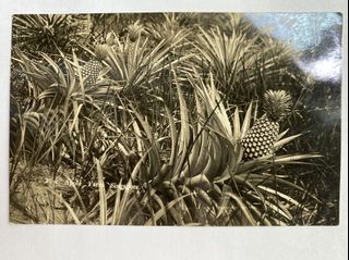 (Category: ) located in . Submitted by sg.stamps (Listing ID 1105271201, Image 1). Description: .