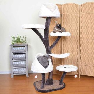 (Category: ) located in . Submitted by allforpets (Listing ID 1086208885, Image 1). Description: .