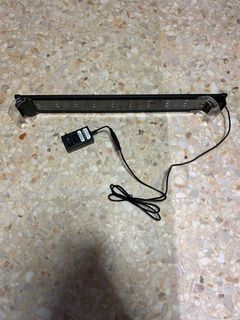 (Category: ) located in . Submitted by hei_tangiii (Listing ID 1105341975, Image 1). Description: .