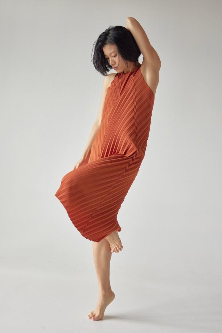 Ginlee Emma Dress Rust Pleated (Gin lee studio). Shorter version of Ivy  dress, Women's Fashion, Dresses & Sets, Dresses on Carousell