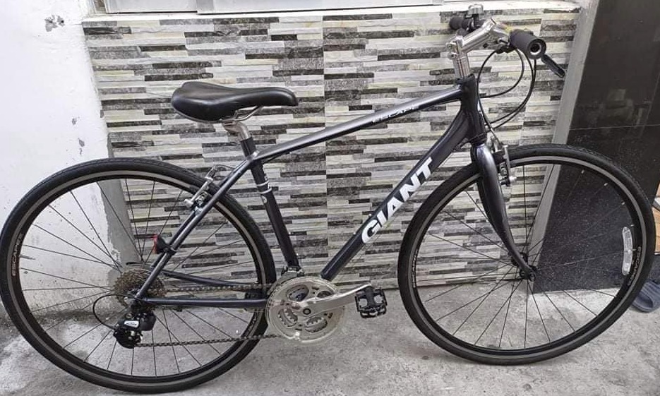 Giant bikes outlet japan