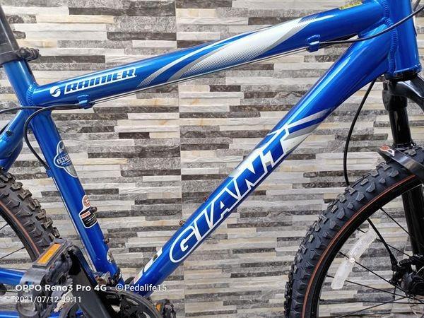 Giant rainier se mountain store bike