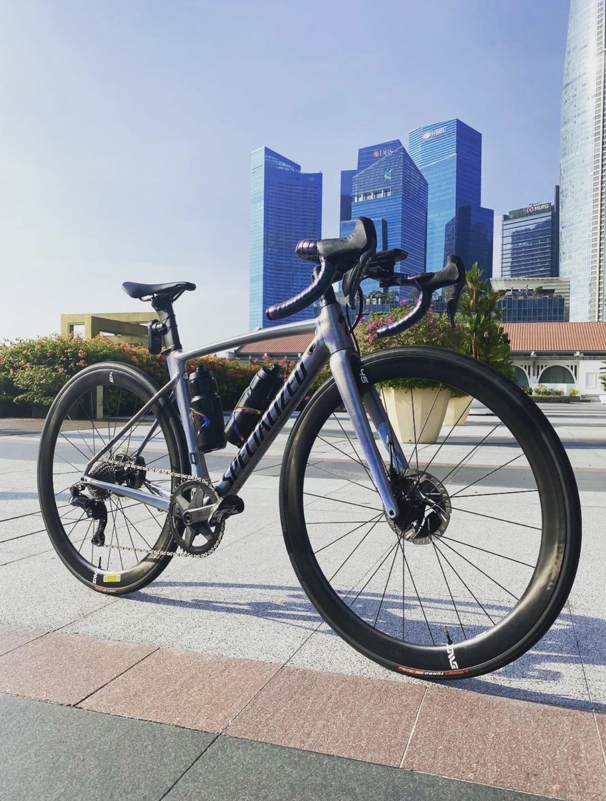 specialized allez custom paint