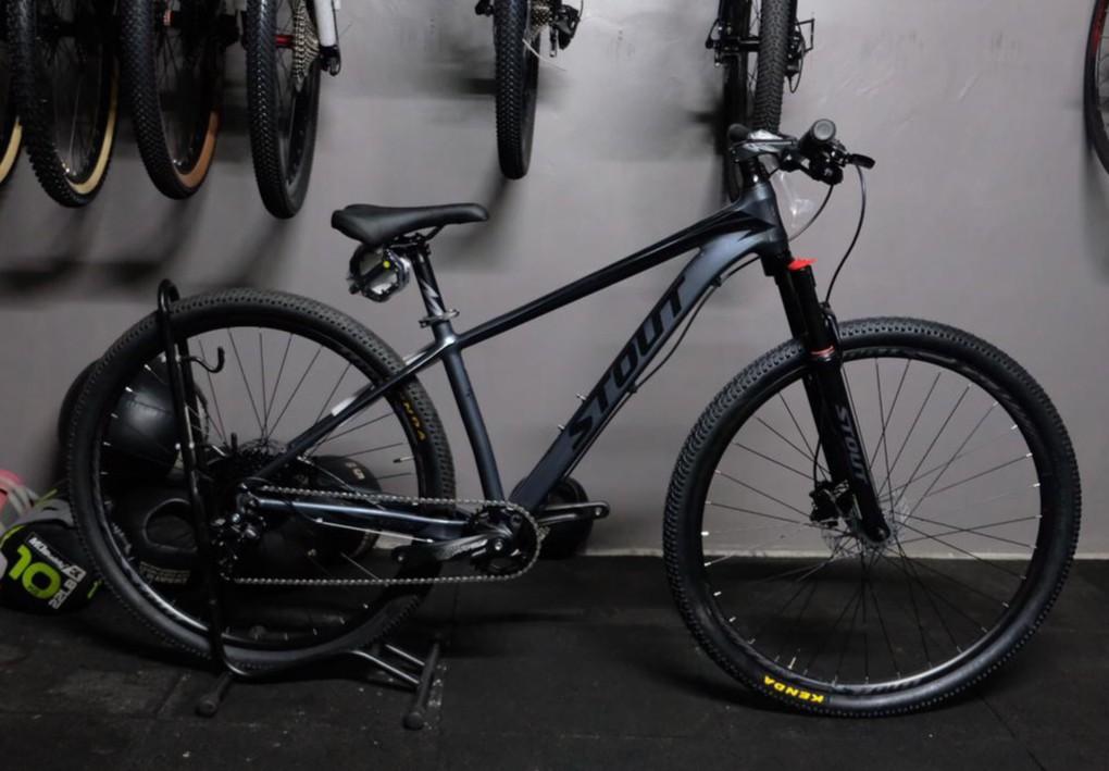 Stout 29er 2025