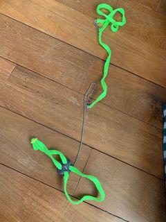 Bird flight harness