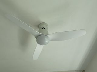 (Category: ) located in . Submitted by ericeste (Listing ID 1105472556, Image 1). Description: .