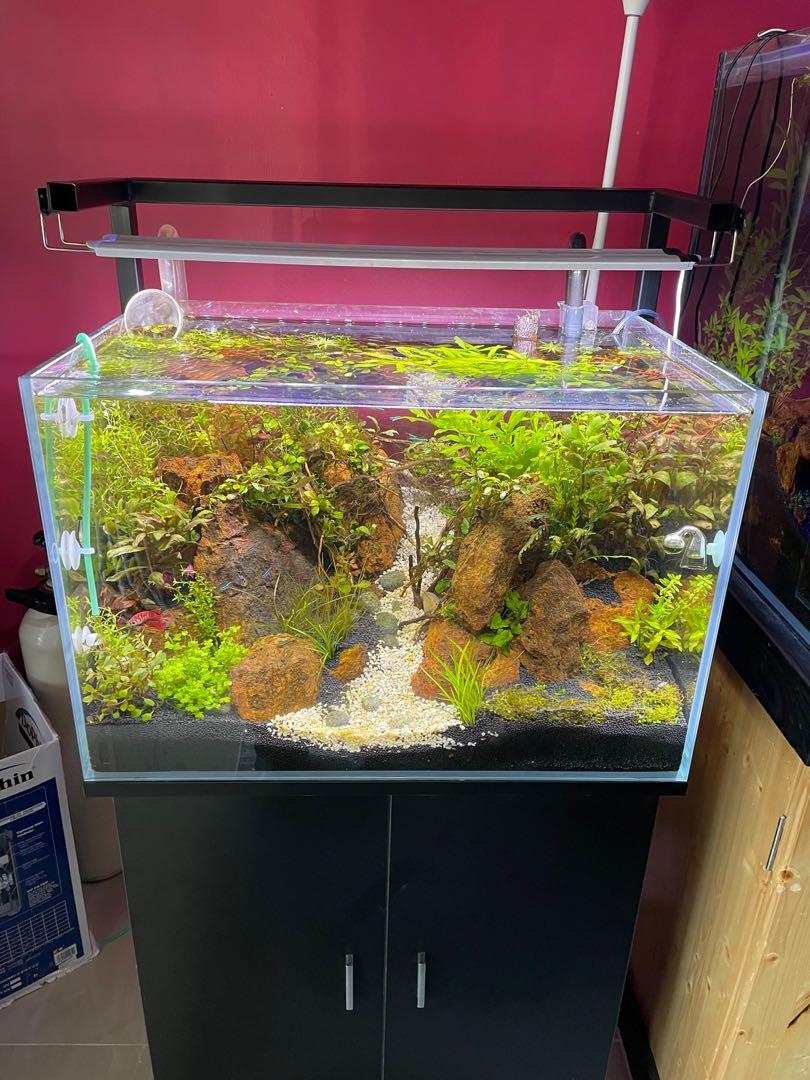 DIY aquarium light stand