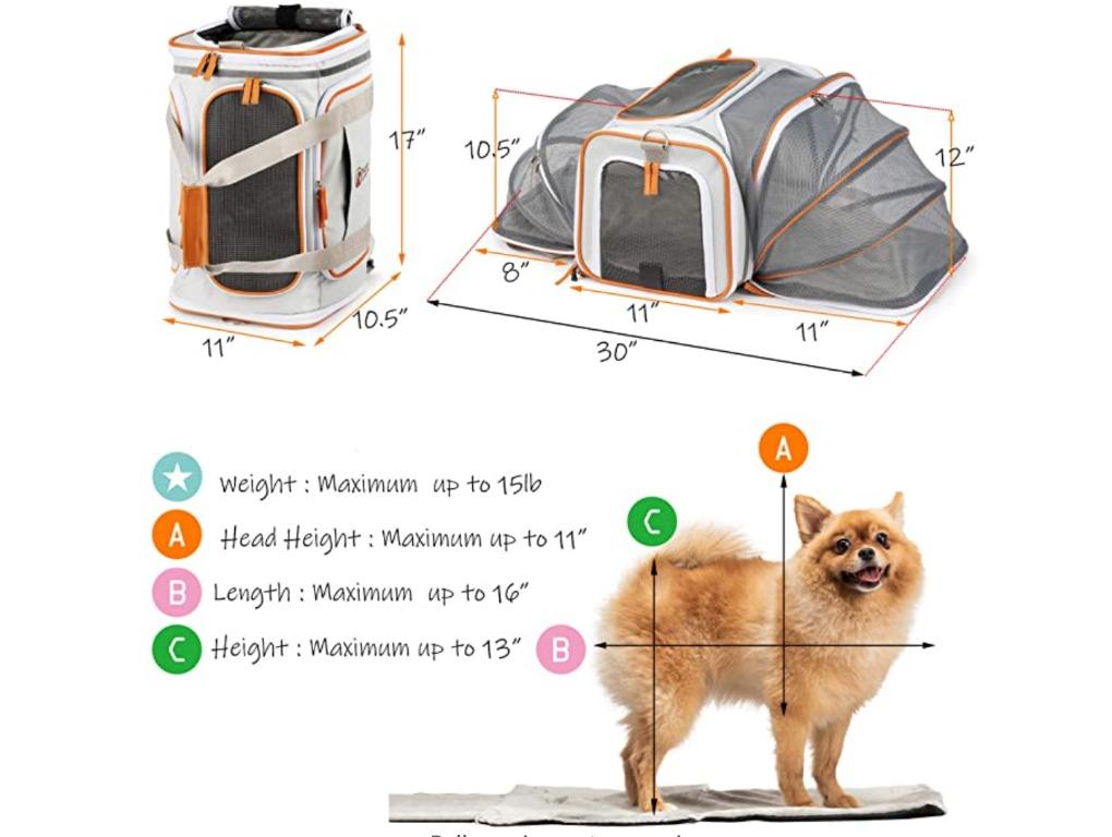 Iata approved pet carriers for cabin new arrivals