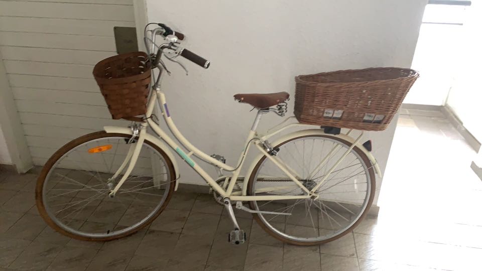 Papillionaire Sommer City Bike Sports Equipment Bicycles Parts