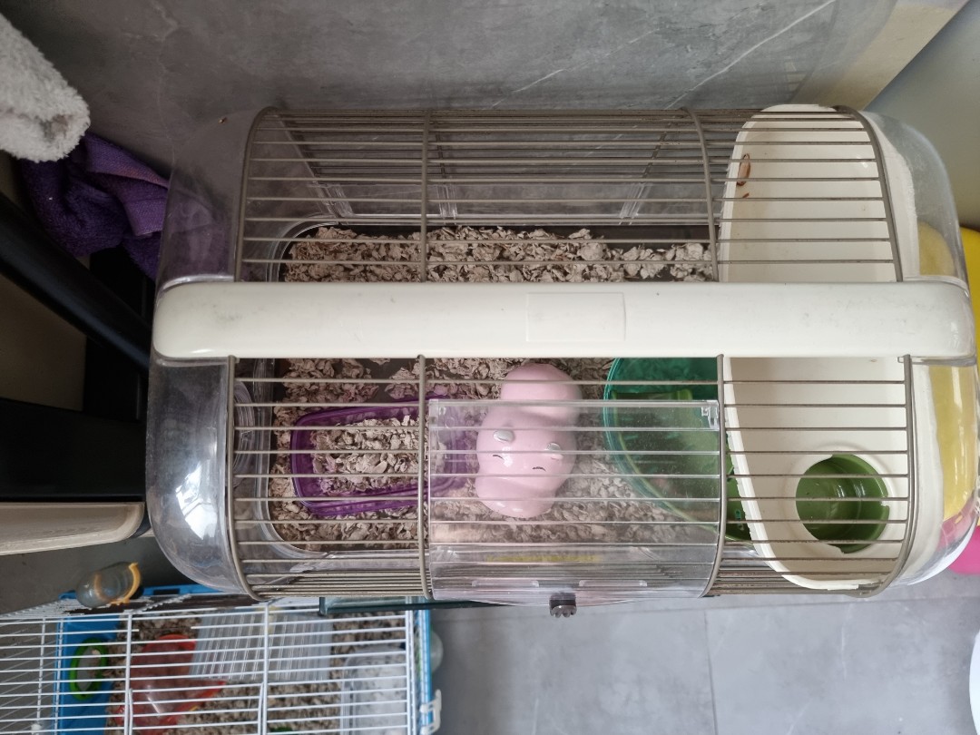 preloved hamster cage