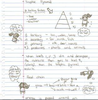 Sec 2 Science Notes (RGS)