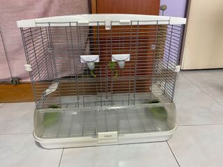 (Category: ) located in . Submitted by sweetiemilo (Listing ID 1105617899, Image 1). Description: .