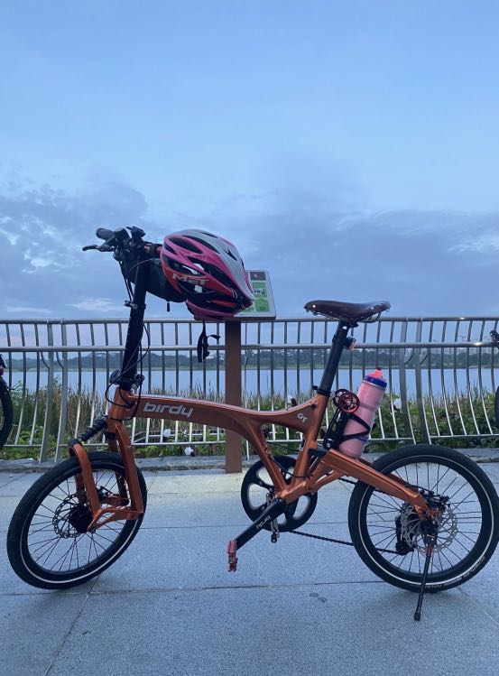 birdy gt review