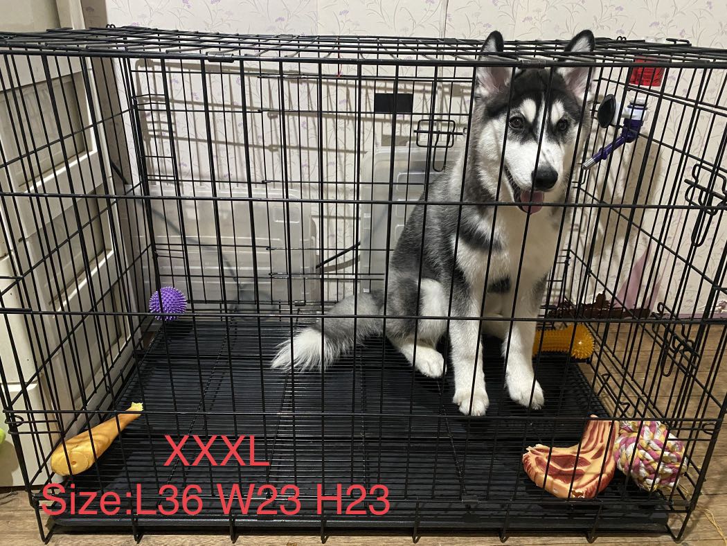 Cage size for husky sales