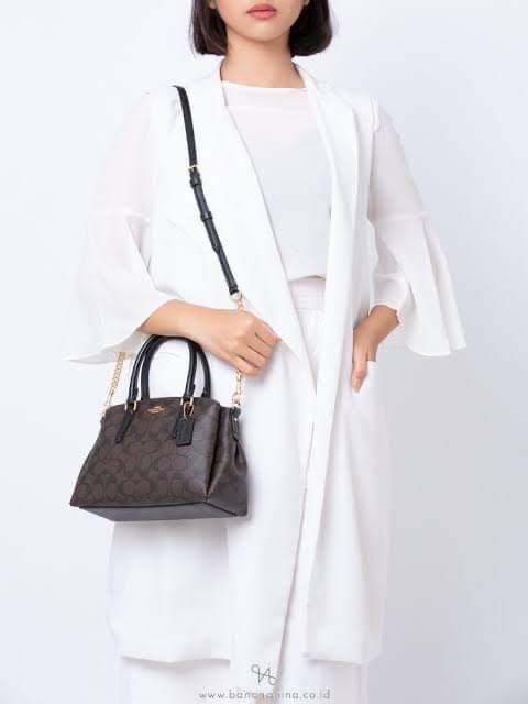 Coach Mini Sage carryall
