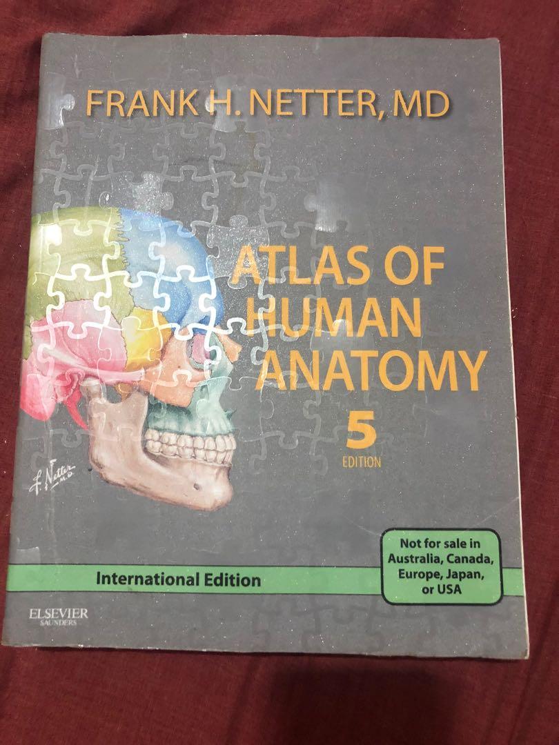 Frank H. Netter- Atlas of Human Anatomy 5th Ed, Hobbies & Toys, Books ...