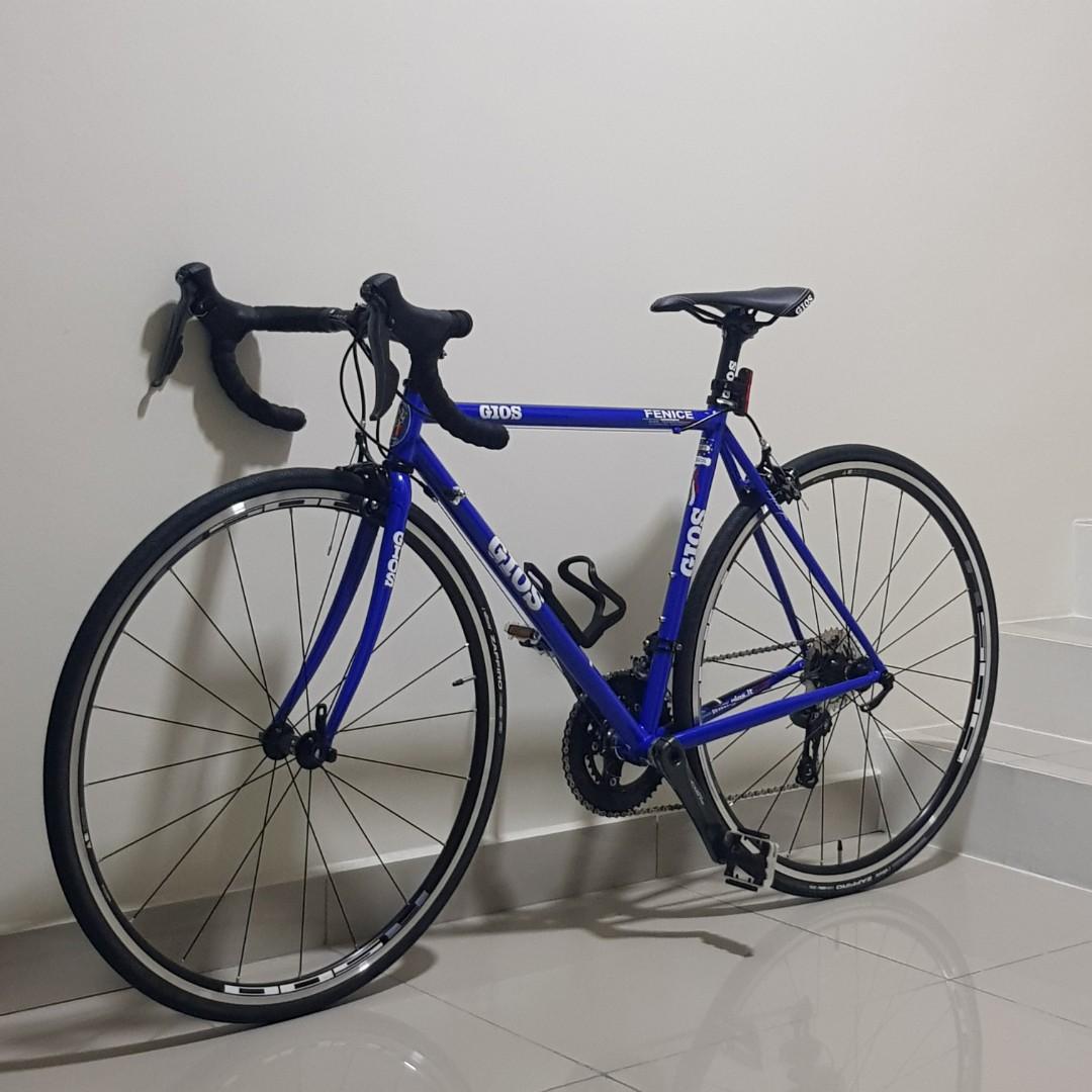Gios fenice 2025