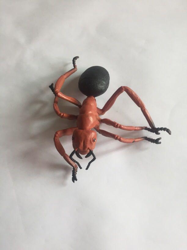 Insect Collection ( common Ant ) from US (Category: Figurines & Statues) located in Pasay City. Submitted by redgiftshop (Listing ID 1105838000, Image 2). Description: most ants either red or black in color, and length can be anywhere feom 1/3" to 1/2" like other insects they have six legs they have large heads with compound eyes, and has powerful jaws directly bought in US product code: CL Ages: 3+.
