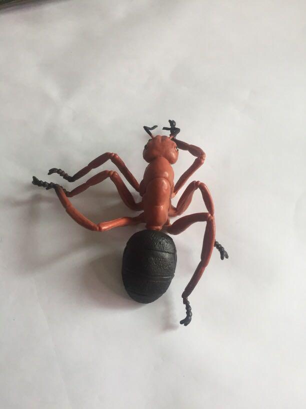 Insect Collection ( common Ant ) from US (Category: Figurines & Statues) located in Pasay City. Submitted by redgiftshop (Listing ID 1105838000, Image 1). Description: most ants either red or black in color, and length can be anywhere feom 1/3" to 1/2" like other insects they have six legs they have large heads with compound eyes, and has powerful jaws directly bought in US product code: CL Ages: 3+.