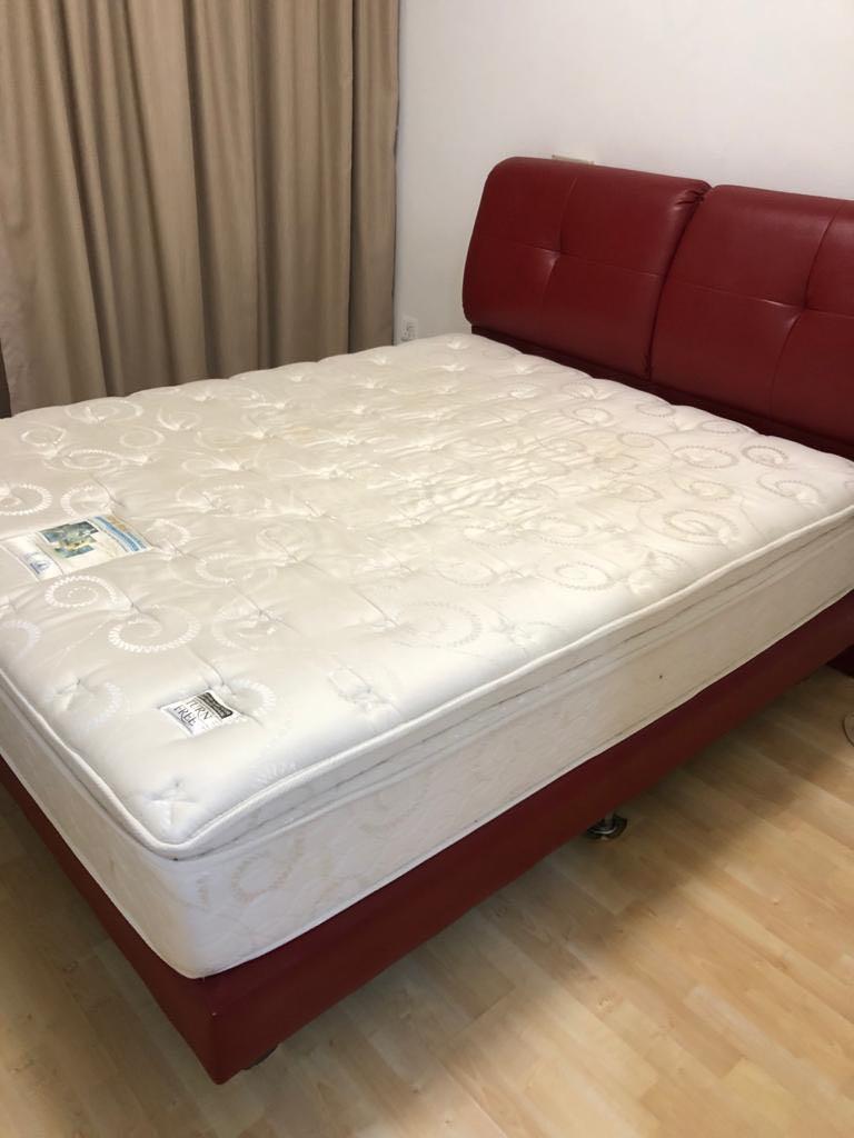 King Koil queen size bed plus bedframe, Furniture & Home Living
