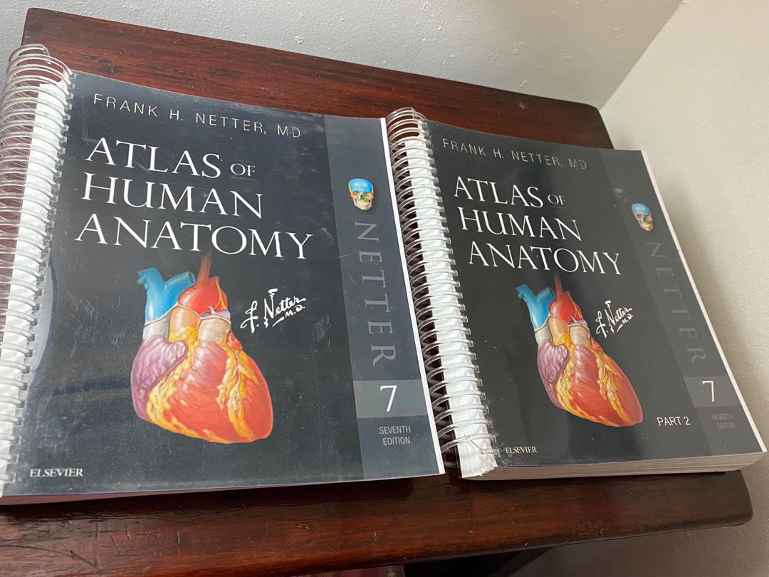 Netter Atlas of Human Anatomy 7th ed, Hobbies & Toys, Books & Magazines ...