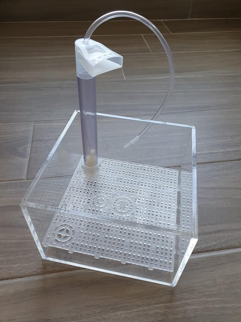 Undergravel Filter Ugf For Shrimp Pet Supplies Homes Other Pet Accessories On Carousell Undergravel Filter Ugf For Shrimp Pet Supplies Homes Other Pet Accessories On Carousell