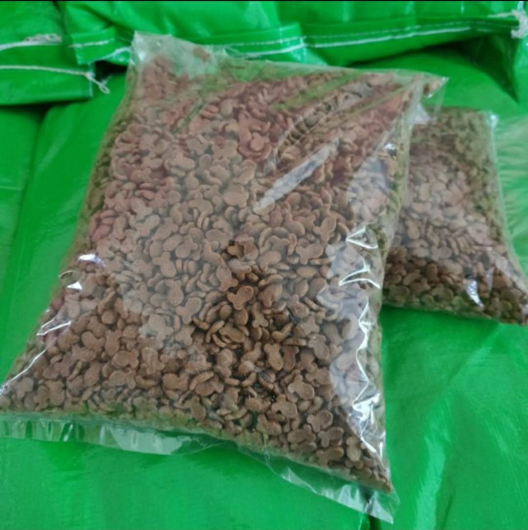 1kg Makanan Kucing Premium Cat Food No Colour, Pet Supplies, Pet 