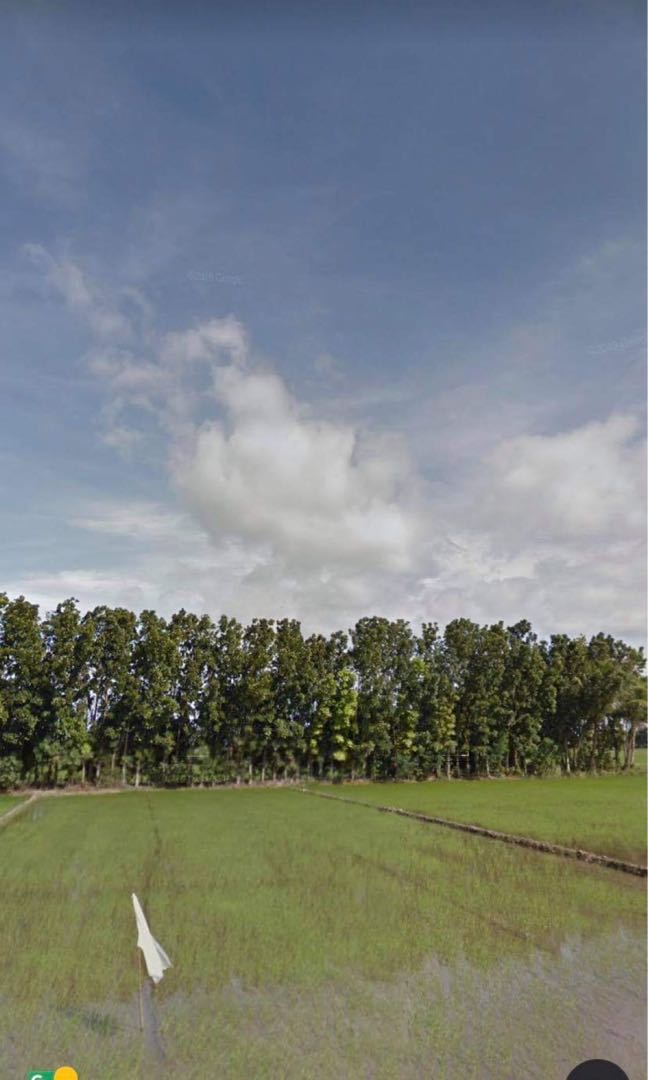 Agri Farm lot in Apalit Pampanga, Property, For Sale, Lot on Carousell