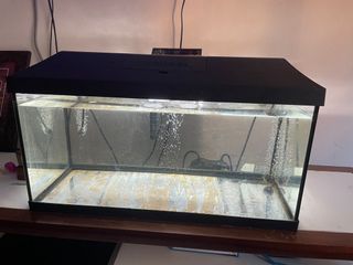 (Category: ) located in . Submitted by ubaidiqbal (Listing ID 1106166537, Image 1). Description: .