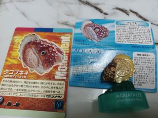 （分類：）位於 。 由 leechunghappy 提交（商品編號 1106148261，圖片 1）。簡介： 。